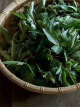 帰楽可楽 クラフトコーラ シロップ